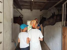 Kopia-IMG20210720120439