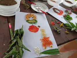 IMG20210728132625