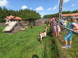 IMG20210729112208