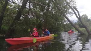 RekreAKCJA2019Isplywkajakowy9