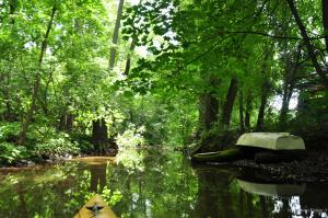 DSC2917zmiejszone1