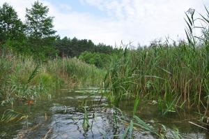 DSC3066zmiejszone1