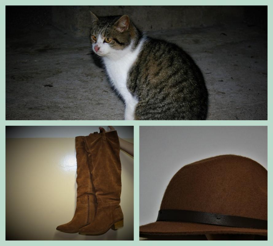 kot-buty
