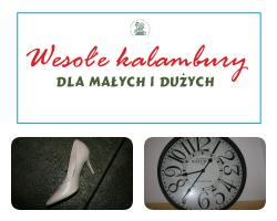 5-zagadka-kopciuszek-collage