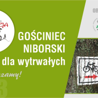 Gościniec Niborski dla wytrwałych